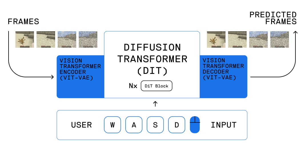 Oasis's ViT + DiT architecture